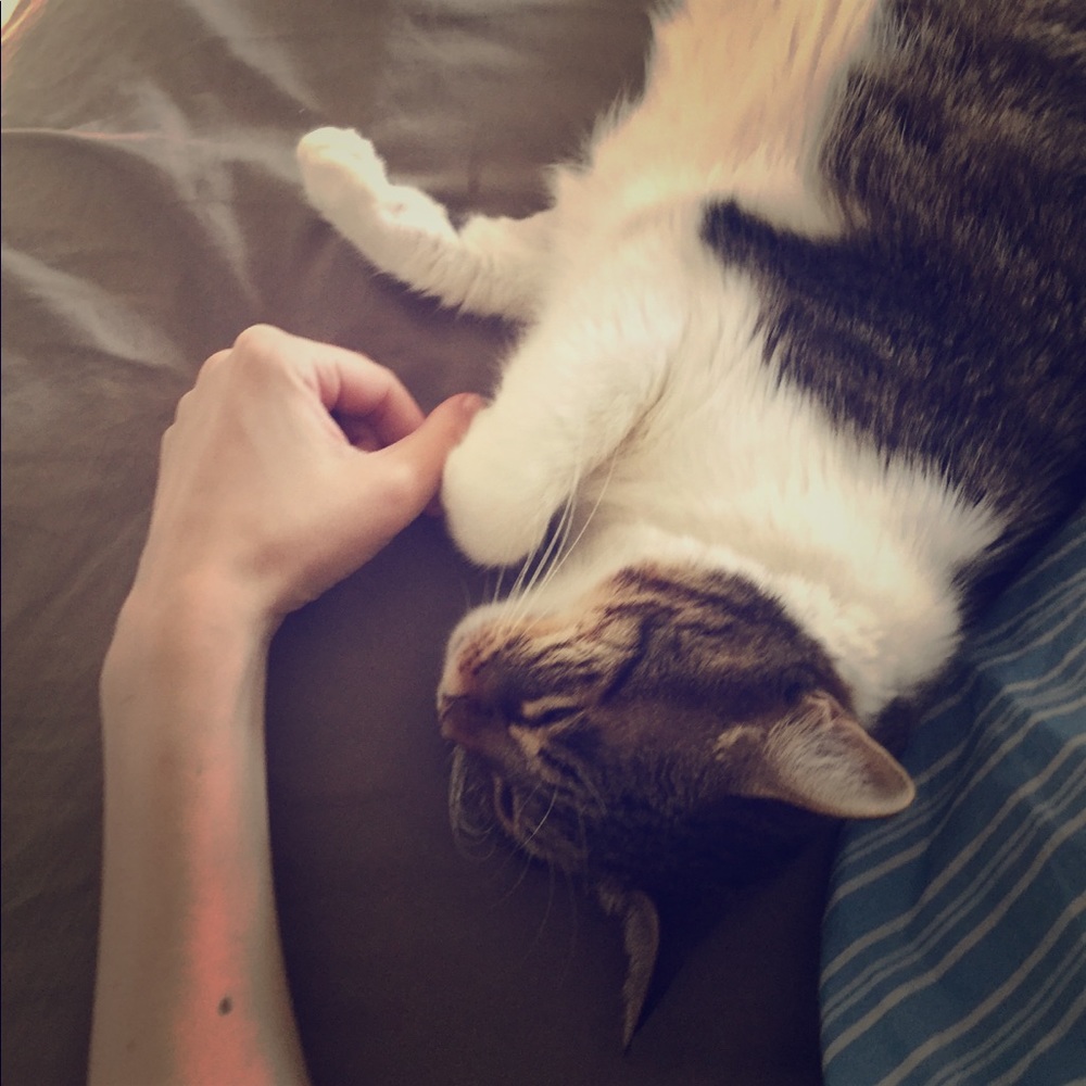 Meet your Posher, Sean